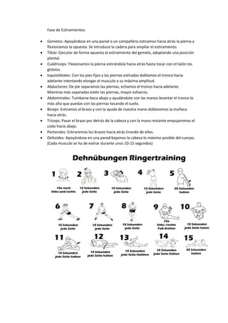 Fase de Estiramientos: 
 Gemelos: Apoyándose en una pared o un compañero estiramos hacia atrás la pierna y 
flexionamos la opuesta. Se introduce la cadera para ampliar el estiramiento. 
 Tibial: Ejecutar de forma opuesta al estiramiento del gemelo, adoptando una posición 
plantal. 
 Cuádriceps: Flexionamos la pierna estirándola hacia atrás hasta tocar con el talón los 
glúteos. 
 Isquiotibiales: Con los pies fijos y las piernas estiradas doblamos el tronco hacia 
adelante intentando elongar el musculo a su máxima amplitud. 
 Abductores: De pie separamos las piernas, echamos el tronco hacia adelante. 
Mientras más separadas estén las piernas, mayor esfuerzo. 
 Abdominales: Tumbarse boca abajo y ayudándote con las manos levantar el tronco lo 
más alto que puedas con las piernas tocando el suelo. 
 Bíceps: Estiramos el brazo y con la ayuda de nuestra mano doblaremos la muñeca 
hacia atrás. 
 Tríceps: Pasar el brazo por detrás de la cabeza y con la mano restante empujaremos el 
codo hacia abajo. 
 Pectorales: Estiraremos los brazos hacia atrás tirando de ellos. 
 Deltoides: Apoyándose en una pared bajamos la cabeza lo máximo posible del cuerpo. 
(Cada musculo se ha de estirar durante unos 10-15 segundos) 
 
