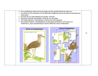 Sesión de clase vertebrados