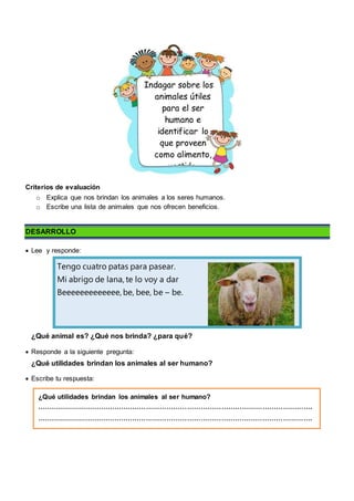 Criterios de evaluación
o Explica que nos brindan los animales a los seres humanos.
o Escribe una lista de animales que nos ofrecen beneficios.
DESARROLLO
 Lee y responde:
Tengo cuatro patas para pasear.
Mi abrigo de lana, te lo voy a dar
Beeeeeeeeeeeee, be, bee, be – be.
¿Qué animal es? ¿Qué nos brinda? ¿para qué?
 Responde a la siguiente pregunta:
¿Qué utilidades brindan los animales al ser humano?
 Escribe tu respuesta:
Indagar sobre los
animales útiles
para el ser
humano e
identificar lo
que proveen
como alimento,
vestido,
compañía y
protección.
¿Qué utilidades brindan los animales al ser humano?
………………………………………………………………………………………………………….
………………………………………………………………………………………………………….
 
