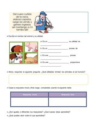  Escribo el nombre del animal y su utilidad.
a. Es un ____________________ su utilidad es
____________________.
b. Es un ____________________ provee de
____________________.
c. Es una ____________________ provee
____________________.
d. Es una ____________________ proporciona
____________________.
 Ahora, responde la siguiente pregunta: ¿Qué utilidades brindan los animales al ser humano?
 Copia tu respuesta inicial y final; luego, compáralas usando la siguiente tabla:
Respuesta inicial Respuesta final
 ¿Son iguales o diferentes tus respuestas? ¿Qué nuevas ideas aprendiste?
 ¿Qué puedes decir sobre lo que aprendiste?
 