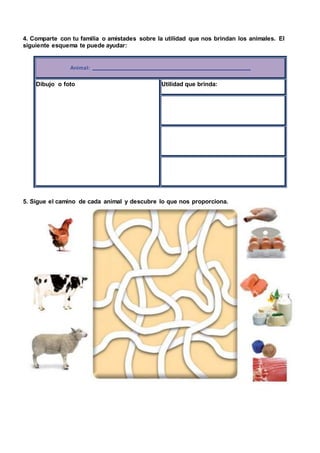 4. Comparte con tu familia o amistades sobre la utilidad que nos brindan los animales. El
siguiente esquema te puede ayudar:
Animal:
Dibujo o foto Utilidad que brinda:
5. Sigue el camino de cada animal y descubre lo que nos proporciona.
 