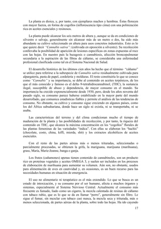 La planta es dioica, y, por tanto, con ejemplares machos y hembras. Éstas florecen
con mayor fuerza, en forma de cogollos (inflorescencia tipo cima) con una polinización
rica en aceites esenciales y resinosos.

     La planta puede alcanzar los seis metros de altura y, aunque se da en condiciones de
silvestre o salvaje, generalmente sin alcanzar más de un metro o dos, ha sido más
abundante su cultivo seleccionado en altura para usos concretos industriales. Esto es lo
que quiere decir “Cannabis sativa”: (cultivada en oposición a silvestre). Su recolección
conllevaba la posibilidad de aparición de lesiones específicas en zonas expuestas al roce
con las hojas. En nuestro país la bazagosis o cannabiosis, afección broncopulmonar
secundaria a la aspiración de las fibras de cáñamo, se consideraba una enfermedad
profesional clasificada como tal en el Sistema Nacional de Salud.

     El desarrollo histórico de los últimos cien años ha hecho que el término “cáñamo”
se utilice para referirse a la subespecie de Cannabis sativa residualmente cultivada para
alpargatería, pasta de papel, cordelería y molduras. El resto constituiría lo que se conoce
como “Cannabis” y su importancia, se debe al contenido en aceites terpénicos, de los
que el más conocido y famoso es el delta–9-tetrahidrocannabinol, (THC), la sustancia
ilegal, susceptible de abuso y dependencia, de mayor consumo en el mundo. Su
importancia ha crecido exponencialmente desde 1930, pero, desde los años noventa del
pasado siglo, su consumo parece haberse estabilizado en la mayor parte del mundo
desarrollado, que comunica estadísticas fiables y permite el análisis de las tendencias de
consumo. No obstante, su cultivo y consumo sigue creciendo en algunos países, como
los del África subsahariana, donde hace un siglo ni existía, ni se transportaba, ni se
usaba.

    Las características del terreno y del clima condicionan mucho el tiempo de
maduración de la planta y las posibilidades de recolección, y por tanto, la riqueza del
contenido en THC, que alcanza la máxima concentración en los “cogollos” florales de
las plantas femeninas de las variedades “indica”. Con ellas se elaboran los “hachís”
(chocolate, costo, china, kiffi, mierda, shit) y los extractos alcohólicos de aceites
esenciales.

    Con el resto de las partes aéreas más o menos trituradas, seleccionadas o
parcialmente procesadas, se obtienen la grifa, la mariguana, marijuana (marihuana),
grass, María, Marie-Jeanne, banga o ganja.

     Los frutos (cañamones) apenas tienen contenido de cannabinoles, son un producto
rico en proteínas vegetales y aceites OMEGA 3, y suelen ser incluidos en los procesos
de elaboración de marihuana para aumentar su volumen. Aún son, no obstante, usados
para alimentación de aves en cautividad y, en ocasiones, es un buen recurso para las
necesidades humanas en situación de emergencia.

     El uso no alimentario ni terapéutico es el más extendido. Lo que se busca es un
estado de intoxicación, y su consumo por el ser humano, afecta a muchos órganos y
sistemas, especialmente al Sistema Nervioso Central. Actualmente el consumo más
frecuente es fumado, liado como un cigarro, la mezcla calentada de resinas de cáñamo
con tabaco rubio, que es lo que se da en llamar “porro”, generalmente sin filtro. Le
sigue el fumar, sin mezclar con tabaco casi nunca, la mezcla seca y triturada, más o
menos seleccionada, de partes aéreas de la planta, sobre todo las hojas. Ha ido cayendo
                                                                                        17
 