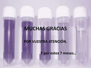 MUCHAS GRACIAS 
POR VUESTRA ATENCIÓN. 
Y por estos 7 meses… 
