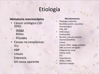 Etiología 
Hematuria macroscópica 
• Cáncer urológico (10- 
20%): 
Vejiga 
Riñón 
Próstata 
• Causas no neoplásicas: 
ITU 
HBP 
Litiasis 
Estenosis 
Sin causa aparente 
Microhematuria 
• Patología sistémica: 
Reumáticas(LES, vasculitis) 
Hematológica 
HTA, DM 
• Infecciosas: 
Endocarditis 
• Renales y de vía urinaria: 
Glomerulonefritis 
Litiasis 
Cáncer riñón, vejiga, próstata 
HBP, tumores benignos 
Poliquistosis renal 
Infarto renal 
ITU 
Traumatismo 
• ACOs o AINEs 
• Ejercicio intenso 
 