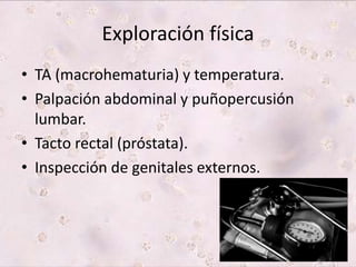 Exploración física 
• TA (macrohematuria) y temperatura. 
• Palpación abdominal y puñopercusión 
lumbar. 
• Tacto rectal (próstata). 
• Inspección de genitales externos. 
 