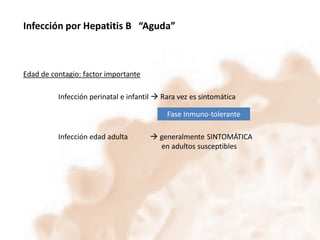 Infección por Hepatitis B “Aguda”

Edad de contagio: factor importante

Infección perinatal e infantil  Rara vez es sintomática
Fase Inmuno-tolerante
Infección edad adulta

 generalmente SINTOMÁTICA
en adultos susceptibles

 