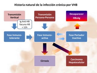 Historia natural de la infección crónica por VHB
Transmisión
Vertical

Transmisión
Persona-Persona

Desaparecer

Fase Inmunoactiva

Fase Portador
Inactivo

Cirrosis

Carcinoma
Hepatocelular

HBsAg

Ig Anti-HB
Vacuna HB
< 12h

Fase Inmunotolerante

 