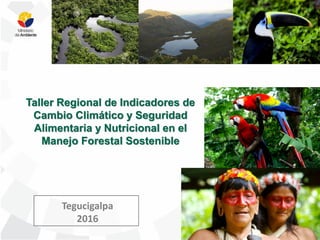 Tegucigalpa
2016
Taller Regional de Indicadores de
Cambio Climático y Seguridad
Alimentaria y Nutricional en el
Manejo Forestal Sostenible
 