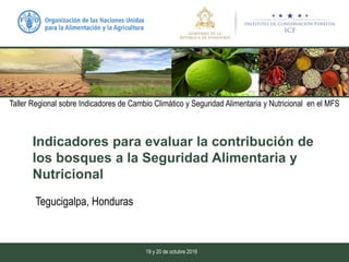 Indicadores para evaluar la contribución de
los bosques a la Seguridad Alimentaria y
Nutricional
Tegucigalpa, Honduras
Taller Regional sobre Indicadores de Cambio Climático y Seguridad Alimentaria y Nutricional en el MFS
19 y 20 de octubre 2016
 