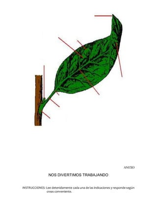 ANEXO
NOS DIVERTIMOS TRABAJANDO
INSTRUCCIONES: Lee detenidamente cada una de las indicaciones y responde según
creas conveniente.
 
