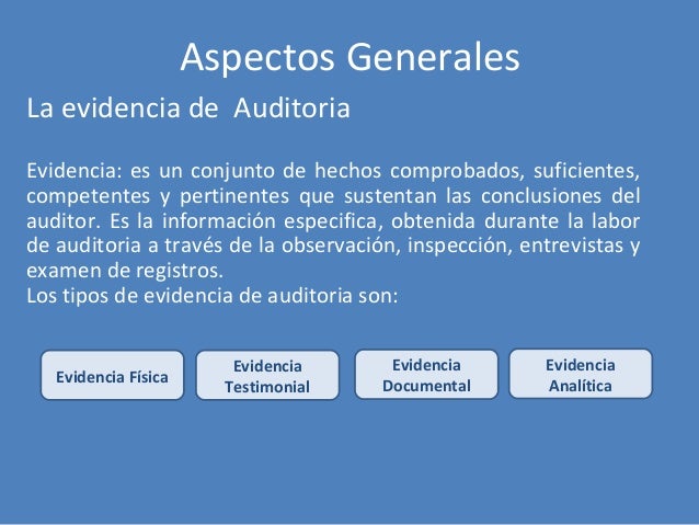 Ejecución de la Auditoria de Gestión Ambiental