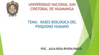 UNIVERSIDAD NACIONAL SAN
CRISTOBAL DE HUAMANGA
TEMA: BASES BIOLOGICA DEL
PSIQUISMO HUMANO
PSIC. JULIA ROSA RIVERA PARCO
 