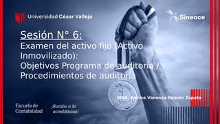 Sesión N° 6:
Examen del activo fijo (Activo
Inmovilizado):
Objetivos Programa de auditoría /
Procedimientos de auditoría
MBA. Karina Vanessa Román Zapata
 