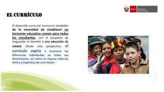 EL CURRÍCULO
El desarrollo curricular transcurre alrededor
de la necesidad de establecer un
horizonte educativo común para todos
los estudiantes, con el propósito de
resguardar el derecho a una educación de
calidad. Desde esta perspectiva, el
currículo aspira a reconocer las
diferencias individuales en todas sus
dimensiones, así como la riqueza cultural,
étnica y lingüística de una nación.
 