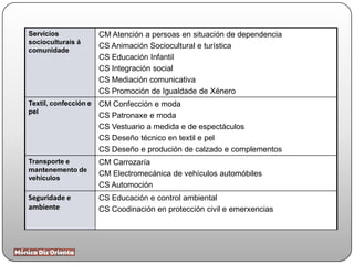 Servicios
socioculturais á
comunidade
CM Atención a persoas en situación de dependencia
CS Animación Sociocultural e turística
CS Educación Infantil
CS Integración social
CS Mediación comunicativa
CS Promoción de Igualdade de Xénero
Textil, confección e
pel
CM Confección e moda
CS Patronaxe e moda
CS Vestuario a medida e de espectáculos
CS Deseño técnico en textil e pel
CS Deseño e produción de calzado e complementos
Transporte e
mantenemento de
vehículos
CM Carrozaría
CM Electromecánica de vehículos automóbiles
CS Automoción
Seguridade e
ambiente
CS Educación e control ambiental
CS Coodinación en protección civil e emerxencias
 