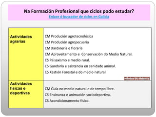 Actividades
agrarias
CM Produción agrotecnolóxica
CM Produción agropecuaria
CM Xardinería e floraría
CM Aproveitamento e Conservación do Medio Natural.
CS Paisaxismo e medio rural.
CS Gandaría e asistencia en sanidade animal.
CS Xestión Forestal e do medio natural
Actividades
físicas e
deportivas
CM Guía no medio natural e de tempo libre.
CS Ensinanza e animación sociodeportiva.
CS Acondicionamento físico.
Na Formación Profesional que ciclos podo estudar?
Enlace ó buscador de ciclos en Galicia
 