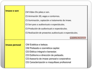 Imaxe e son
CM Vídeo Dis-jokey e son.
CS Animación 3D, xogos e contornos.
CS Iluminación, captación e tratamento da imaxe.
CS Son para a audiovisuais e espectáculos.
CS Produción de audiovisuais e espectáculos.
CS Realización de proxectos audiovisuais e espectáculos.
Imaxe persoal CM Estética e beleza.
CM Peiteado e cosmética capilar.
CS Etética integral e benestar.
CS Estilismo e dirección de peiteado.
CS Asesoría de imaxe persoal e corporativa
CS Caracterización e maquillaxe profesional
 