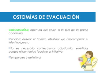 OSTOMÍAS DE EVACUACIÓN
COLOSTOMÍAS: apertura del colon a la piel de la pared
abdominal
Función: desviar el transito intestinal y/o descomprimir el
intestino grueso
No es necesario confeccionar colostomías evertidas
porque el contenido fecal no es irritativo
Temporales o definitivas
 