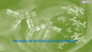 PRUEBAS DE INTERACCIÓN SECUNDARIA
30/05/2020 13
 