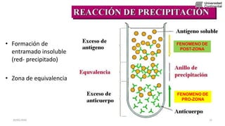 • Formación de
entramado insoluble
(red- precipitado)
• Zona de equivalencia
FENOMENO DE
PRO-ZONA
FENOMENO DE
POST-ZONA
30/05/2020 15
 