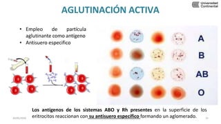 AGLUTINACIÓN ACTIVA
• Empleo de partícula
aglutinante como antígeno
• Antisuero especifico
30/05/2020 25
Los antígenos de los sistemas ABO y Rh presentes en la superficie de los
eritrocitos reaccionan con su antisuero específico formando un aglomerado.
 