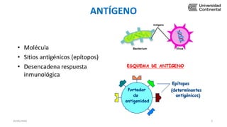 ANTÍGENO
• Molécula
• Sitios antigénicos (epítopos)
• Desencadena respuesta
inmunológica
30/05/2020 3
 