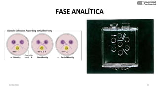 FASE ANALÍTICA
30/05/2020 40
 