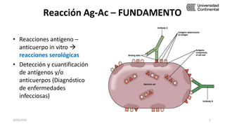 Reacción Ag-Ac – FUNDAMENTO
• Reacciones antígeno –
anticuerpo in vitro 
reacciones serológicas
• Detección y cuantificación
de antígenos y/o
anticuerpos (Diagnóstico
de enfermedades
infecciosas)
30/05/2020 5
 