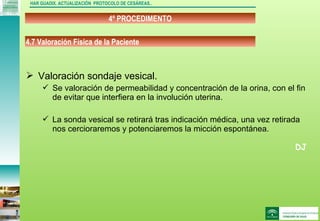 DJ
4º PROCEDIMENTO
HAR GUADIX. ACTUALIZACIÓN PROTOCOLO DE CESÁREAS..
 Valoración sondaje vesical.
 Se valoración de permeabilidad y concentración de la orina, con el fin
de evitar que interfiera en la involución uterina.
 La sonda vesical se retirará tras indicación médica, una vez retirada
nos cercioraremos y potenciaremos la micción espontánea.
4.7 Valoración Física de la Paciente
 