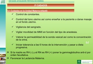 DJ
5º CUIDADOS
HAR GUADIX. ACTUALIZACIÓN PROTOCOLO DE CESÁREAS.
 Control de constantes.
 Control del tono uterino así como enseñar a la paciente a darse masaje
en el fondo uterino.
 Vigilancia del sangrado.
 Vigilar movilidad de MMII en función del tipo de anestesia.
 Valorar la permeabilidad de la sonda vesical así como la concentración
de la orina.
 Iniciar tolerancia a las 6 horas de la intervención y pasar a dieta
progresiva.
 Si la madre es RH (-) y el RN es RH (+) poner la gammaglobulina anti-d por
orden facultativa.
 Favorecer la Lactancia Materna.
5.1 Cuidados en la Unidad Materno-Infantil:
 
