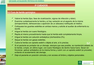 DJ
5º CUIDADOS
HAR GUADIX. ACTUALIZACIÓN PROTOCOLO DE CESÁREAS.
 Valore la herida (tipo, fase de cicatrización, signos de infección y dolor).
 Examine cuidadosamente la herida y si hay variación en el aspecto de la misma
(enrojecimiento, dehiscencias o aparición de un absceso) notifíquelo al médico.
 Colóquese los guantes estériles en ambas manos y solicite al auxiliar de enfermería su
ayuda.
 Irrigue la herida con suero fisiológico.
 Repita el mismo procedimiento hasta que la herida esté completamente limpia.
 Irrigue la herida con solución antiséptica (clorhexidina 2%).
 Seque la herida con gasas estériles.
 Cubra la herida con apósito estéril o déjela al aire, si lo precisa.
 Si el paciente es portador de un drenaje, siempre que sea posible, se mantendrá aislado de
la herida, Limpie, en último lugar, con suero fisiológico de dentro hacia fuera. Secar sin
friccionar, aplicar antiséptico en la misma forma y cubrir con un apósito estéril (si procede),
evitando el acodamiento del drenaje.
 Deje al paciente en posición cómoda y con acceso al timbre y objetos personales.
5.2 Cura de herida quirúrgica:
 