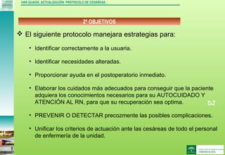 DJ
2º OBJETIVOS
HAR GUADIX. ACTUALIZACIÓN PROTOCOLO DE CESÁREAS..
 El siguiente protocolo manejara estrategias para:
• Identificar correctamente a la usuaria.
• Identificar necesidades alteradas.
• Proporcionar ayuda en el postoperatorio inmediato.
• Elaborar los cuidados más adecuados para conseguir que la paciente
adquiera los conocimientos necesarios para su AUTOCUIDADO Y
ATENCIÓN AL RN, para que su recuperación sea optima.
• PREVENIR O DETECTAR precozmente las posibles complicaciones.
• Unificar los criterios de actuación ante las cesáreas de todo el personal
de enfermería de la unidad.
 