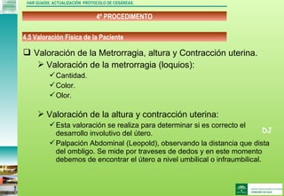 DJ
4º PROCEDIMENTO
HAR GUADIX. ACTUALIZACIÓN PROTOCOLO DE CESÁREAS.
 Valoración de la Metrorragia, altura y Contracción uterina.
 Valoración de la metrorragia (loquios):
Cantidad.
Color.
Olor.
 Valoración de la altura y contracción uterina:
Esta valoración se realiza para determinar si es correcto el
desarrollo involutivo del útero.
Palpación Abdominal (Leopold), observando la distancia que dista
del ombligo. Se mide por traveses de dedos y en este momento
debemos de encontrar el útero a nivel umbilical o infraumbilical.
4.5 Valoración Física de la Paciente
 