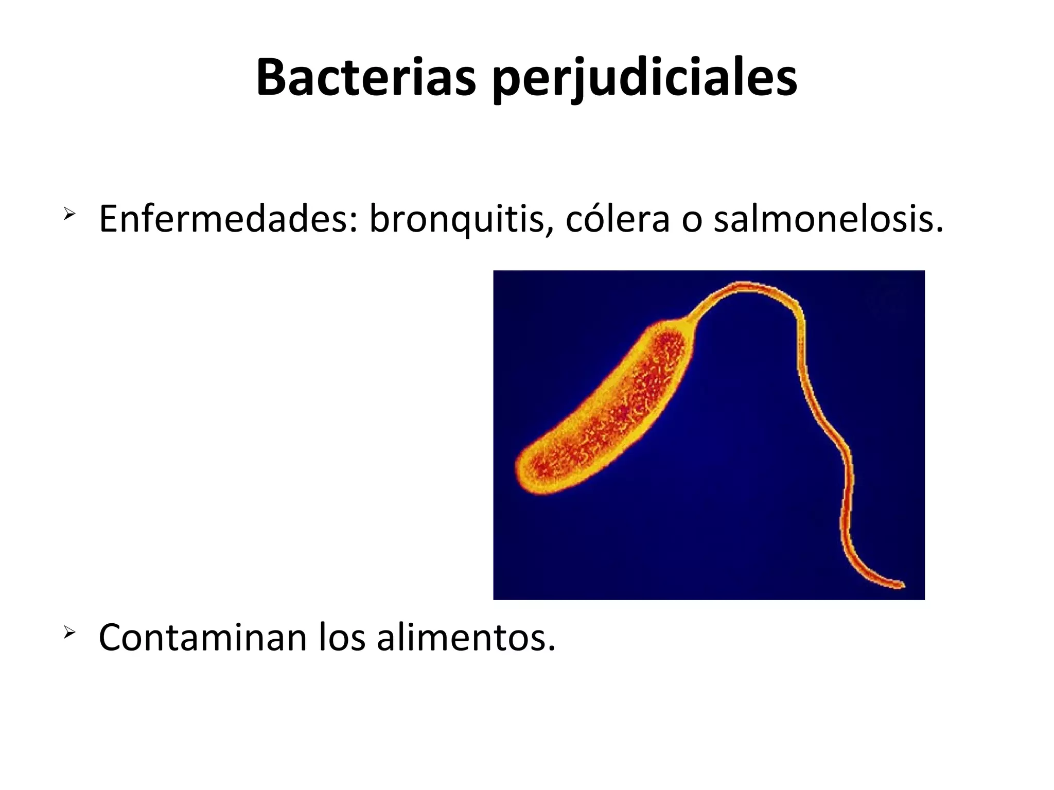 Sesión Reino Moneras | ODP