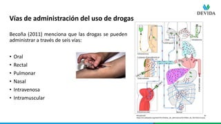 Sesión sincrónica 1 Consumo de drogas.pptx