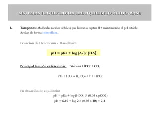 SISTEMAS REGULADORES DEL EQUILIBRIO ÁCIDO-BASE
1.

Tampones: Moléculas (ácidos débiles) que liberan o captan H+ manteniendo el pH estable.
Actúan de forma inmediata.
Ecuación de Henderson - Hasselbach:

pH = pKa + log [A-]/ [HA]
Principal tampón extracelular:

Sistema HCO3- / CO2

CO2+ H2O ↔ H2CO3-↔ H+ + HCO3-

En situación de equilibrio:
pH = pKa + log [HCO3- ]/ (0.03 x pCO2)
pH = 6.10 + log 24/ (0.03 x 40) = 7.4

 