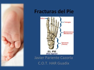 Fracturas del Pie
Javier Pariente Cazorla
C.O.T. HAR Guadix
 