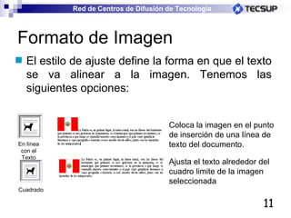 Formato de Imagen El estilo de ajuste define la forma en que el texto se va alinear a la imagen. Tenemos las siguientes opciones: En línea con el Texto Cuadrado Coloca la imagen en el punto de inserción de una línea de texto del documento.  Ajusta el texto alrededor del cuadro limite de la imagen seleccionada 