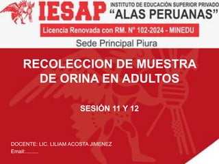RECOLECCION DE MUESTRA
DE ORINA EN ADULTOS
SESIÓN 11 Y 12
DOCENTE: LIC. LILIAM ACOSTA JIMENEZ
Email:.........
 
