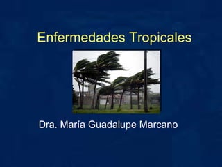 Enfermedades Tropicales Dra. María Guadalupe Marcano 