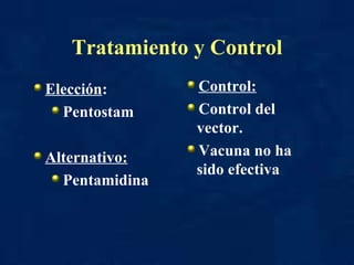 Elección : Pentostam Alternativo: Pentamidina Tratamiento y Control Control: Control del vector. Vacuna no ha sido efectiva 