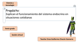Propósito:
Explican el funcionamiento del sistema endocrino en
situaciones cotidianas
Teacher Enzo Guillermo Chacón Gamarra
Sesión virtual
Ciencia y
tecnología
Sexto grado
 
