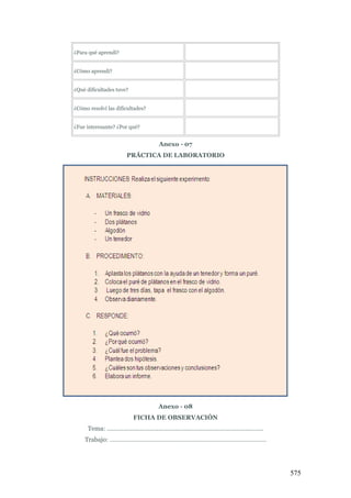 575
¿Para qué aprendí?
¿Cómo aprendí?
¿Qué dificultades tuve?
¿Cómo resolví las dificultades?
¿Fue interesante? ¿Por qué?
Anexo - 07
PRÁCTICA DE LABORATORIO
Anexo - 08
FICHA DE OBSERVACIÓN
Tema: ………………………………………………………………………………….
Trabajo: ………………………………………………………………………………….
 