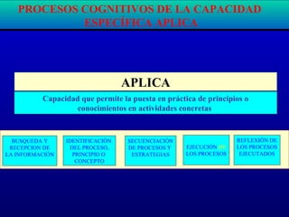 APLICA
Capacidad que permite la puesta en práctica de principios o
conocimientos en actividades concretas
PROCESOS COGNITIVOS DE LA CAPACIDAD
ESPECÍFICA APLICA
BUSQUEDA Y
RECEPCION DE
LA INFORMACIÓN
IDENTIFICACIÓN
DEL PROCESO,
PRINCIPIO O
CONCEPTO
SECUENCIACIÓN
DE PROCESOS Y
ESTRATEGIAS
EJECUCIÓN DE
LOS PROCESOS
REFLEXIÓN DE
LOS PROCESOS
EJECUTADOS
 