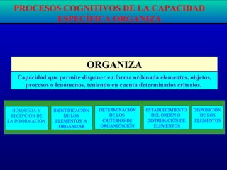 ORGANIZA
Capacidad que permite disponer en forma ordenada elementos, objetos,
procesos o fenómenos, teniendo en cuenta determinados criterios.
BÚSQUEDA Y
RECEPCIÓN DE
LA INFORMACIÓN
IDENTIFICACIÓN
DE LOS
ELEMENTOS A
ORGANIZAR
DETERMINACIÓN
DE LOS
CRITERIOS DE
ORGANIZACIÓN
ESTABLECIMIENTO
DEL ORDEN O
DISTRIBUCIÓN DE
ELEMENTOS
DISPOSICIÓN
DE LOS
ELEMENTOS
PROCESOS COGNITIVOS DE LA CAPACIDAD
ESPECÍFICA ORGANIZA
 