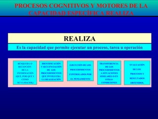 REALIZA
Es la capacidad que permite ejecutar un proceso, tarea u operación
BÚSQUEDA O
RECEPCIÓN
DE LA
INFORMACIÓN
(QUÉ, POR QUÉ Y
CÓMO
SE VA HACER,)
EJECUCIÓN DE LOS
PROCEDIMIENTOS
CONTROLADOS POR
EL PENSAMIENTO
TRANSFERENCIA
DE LOS
PROCEDIMIENTOS
A SITUACIONES
SIMILARES O EN
OTRAS
CONDICIONES
EVALUACIÓN
DE LOS
PROCESOS Y
RESULTADOS
OBTENIDOS.
PROCESOS COGNITIVOS Y MOTORES DE LA
CAPACIDAD ESPECÍFICA REALIZA
IDENTIFICACIÓN
Y SECUENCIACIÓN
DE LOS
PROCEDIMIENTOS
QUE INVOLUCRA
LA REALIZACIÓN
 