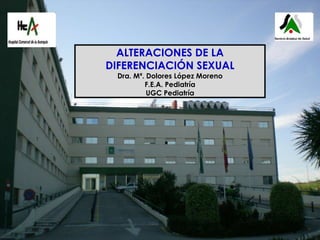 ALTERACIONES DE LA DIFERENCIACIÓN SEXUAL Dra. Mª. Dolores López Moreno F.E.A. Pediatría UGC Pediatría 02/12/2010 