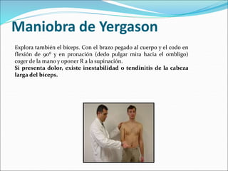 sesion-hombro1.ppt