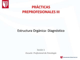 PRÁCTICAS
PREPROFESIONALES III
Sesión 1
Escuela Profesional de Psicología
Estructura Orgánica- Diagnóstico
 