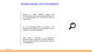 RÉGIMEN AGRARIO. ASPECTOS GENERALES
Durante el 2020, SUNAFIL realizó 680
intervenciones a empresas agroexportadoras en
Ica representando casi el 50% del total de
inspecciones.
El 7 de diciembre 2020 se enviaron a 50
inspectores de SUNAFIL a la ciudad de Ica para
reforzar la acción fiscalizadora.
2014: había 1 inspector y 5 inspectores
auxiliares (ICA). Hay más de 3000 empresas.
Solo se pueden fiscalizar 350 empresas (más de
10 trabajadores).
7/9/2023
 